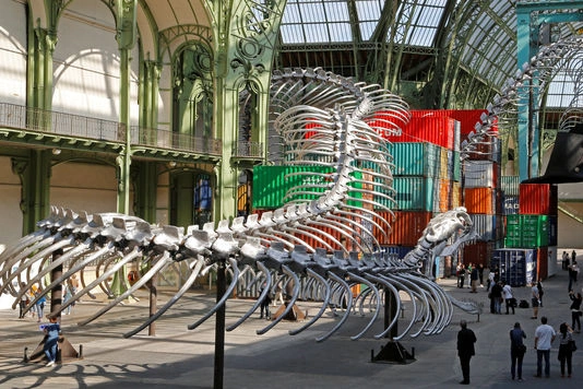 What is Installation Art?