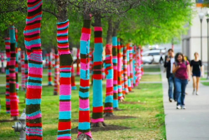 Yarn Bombing Trees