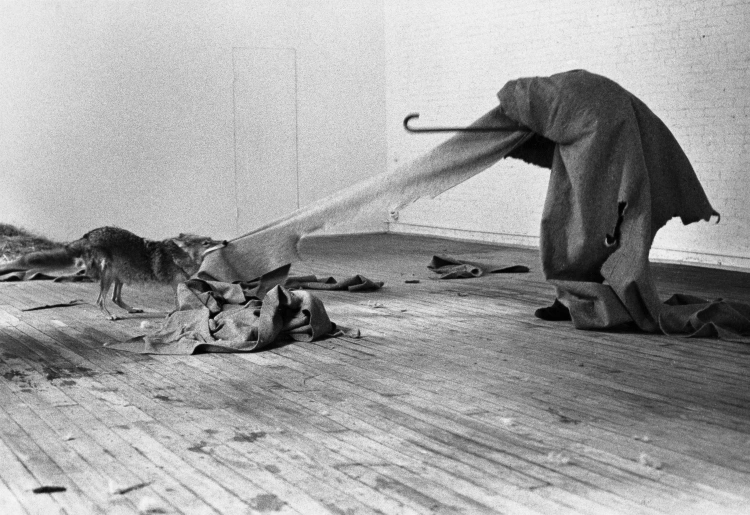 Joseph-Beuys-I-like-America-and-America-likes-me-1974-René-Block-Gallery-New-York