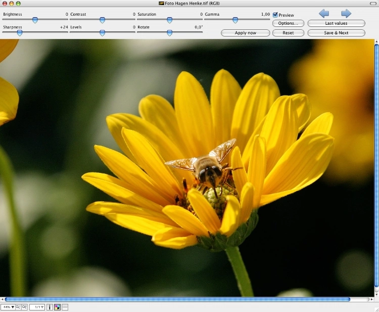 Graphicconverter 6 From 2007