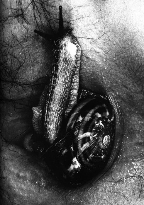 The Unremitting Lens