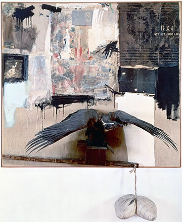 Rauschenberg's Canyon