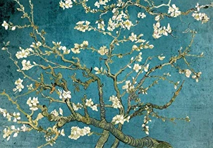 Almond Blossoms