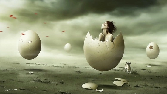 Egg Island Djajakarta